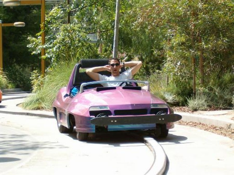 The visit to Disneyland