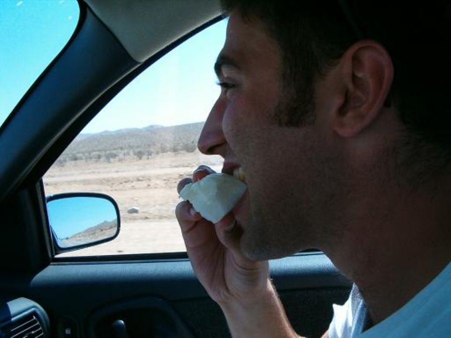 as you can see erez is eating too, mostly onions... (some thing he picked up at home) 