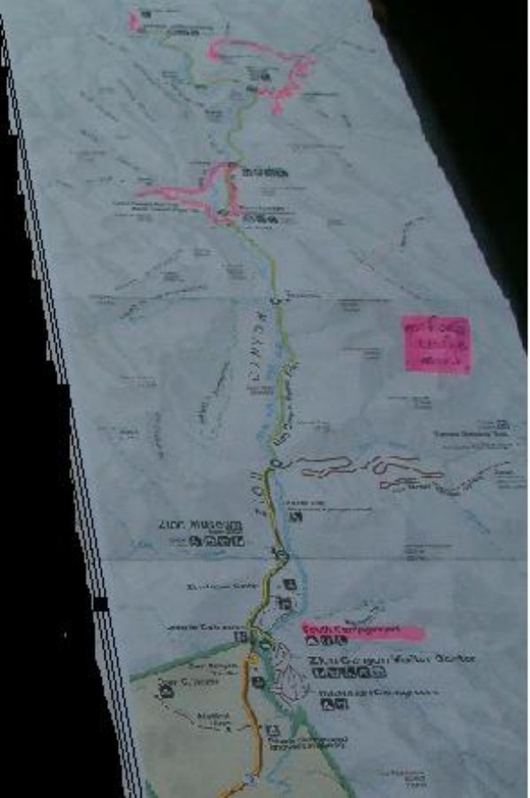 Some photos from Zion national park 