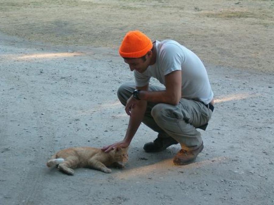 In one of the campgrounds Erez found a cat that looks just like Arye (his cat from home)