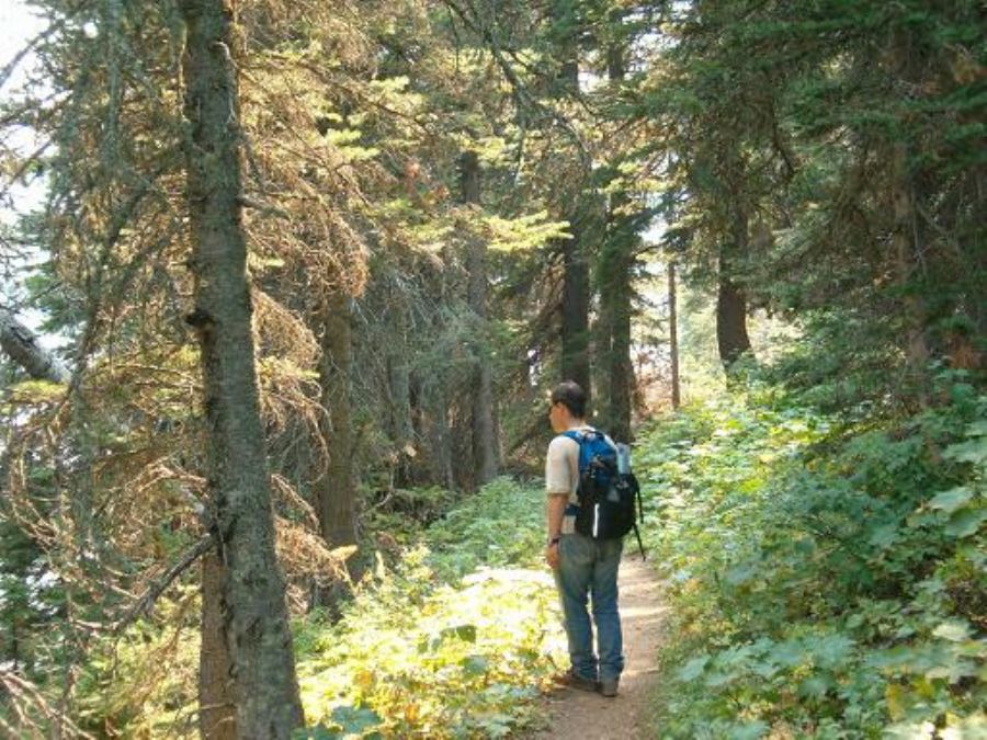 Glaciers national park