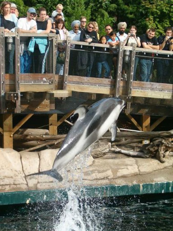 Vancouver`s famous aquarium.