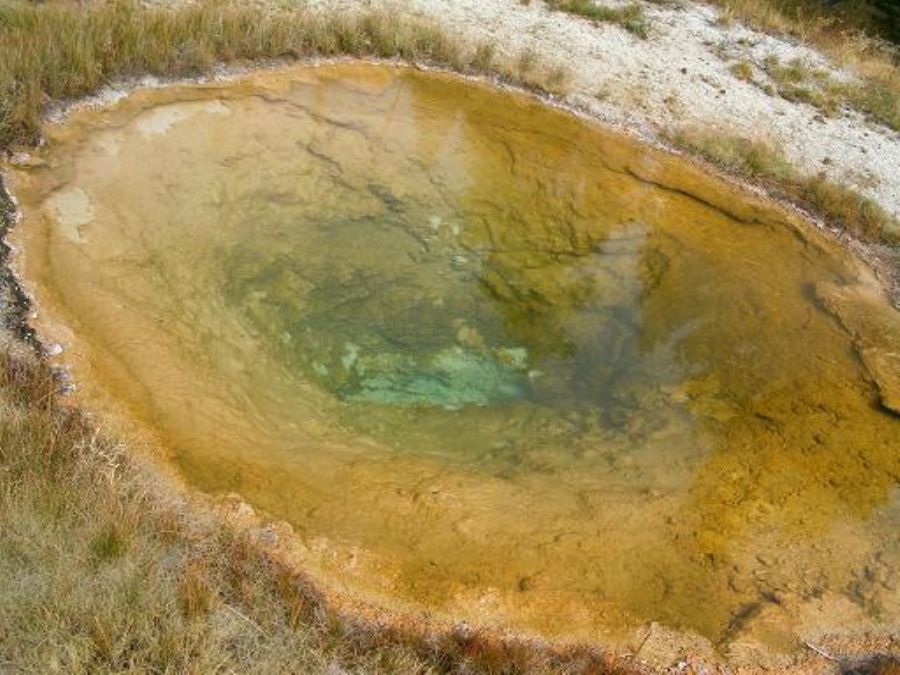 Yellowstone national park