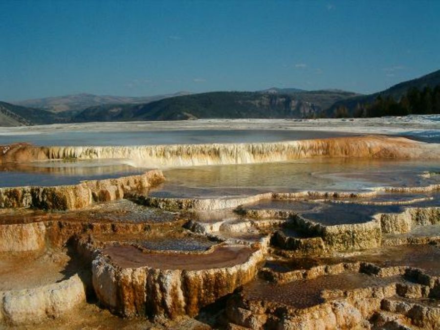 Yellowstone national park