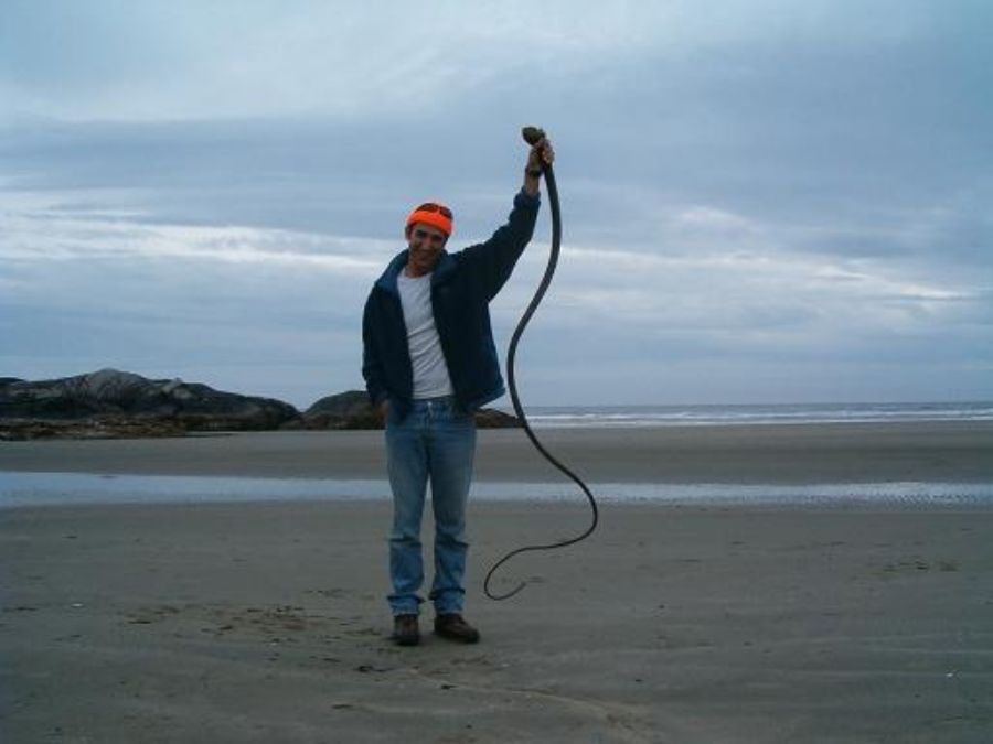 Pacific Rim National Park: 