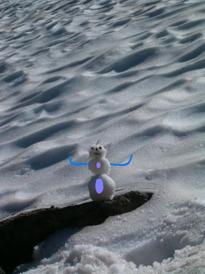 Lassen Volcanic National Park : (Eliezer) 