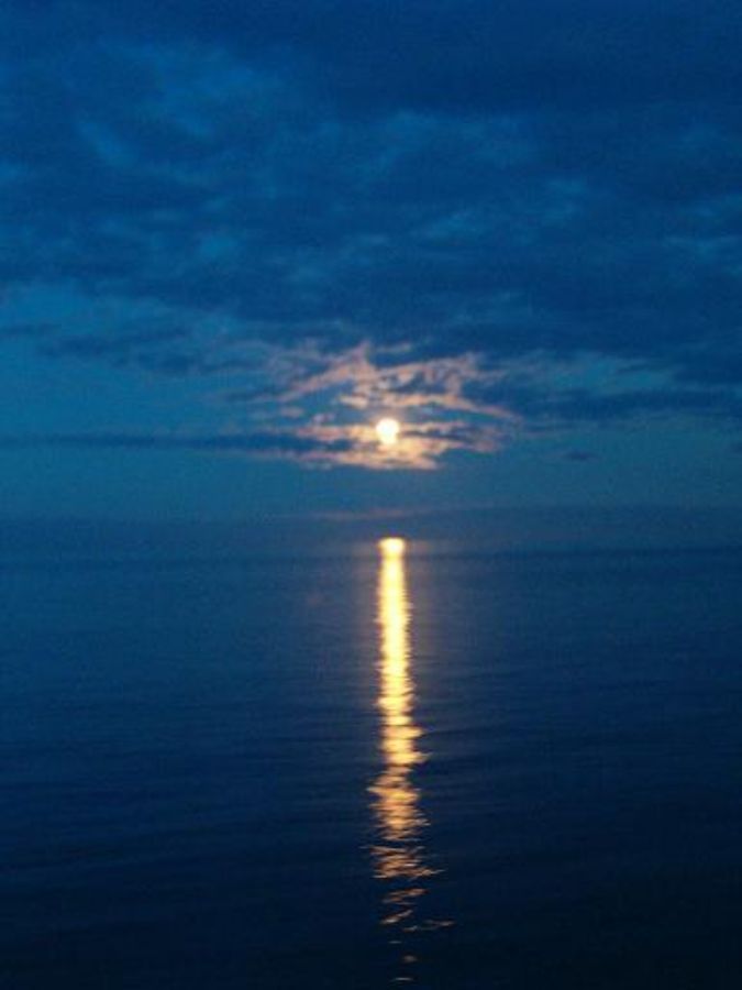 The moonrise on the sea 