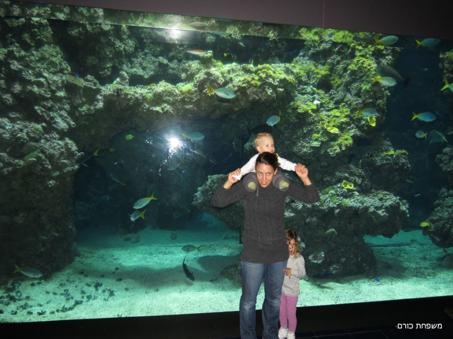 במוזיאון האוקיאנוגרפי