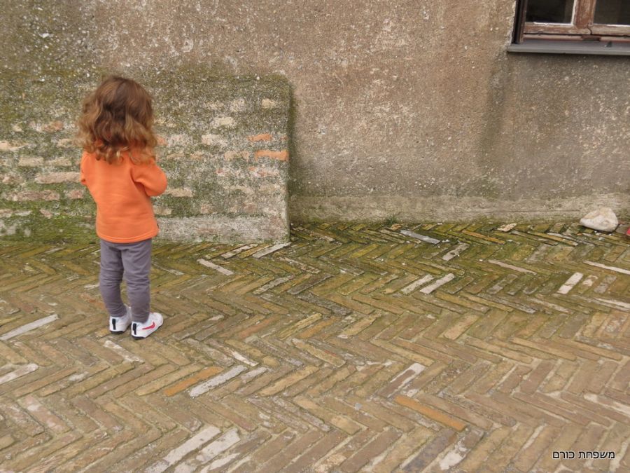 טירת גרימאלדי