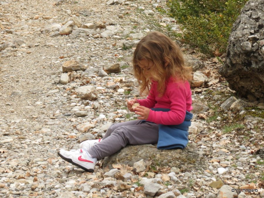 טיול באזור הנקיק