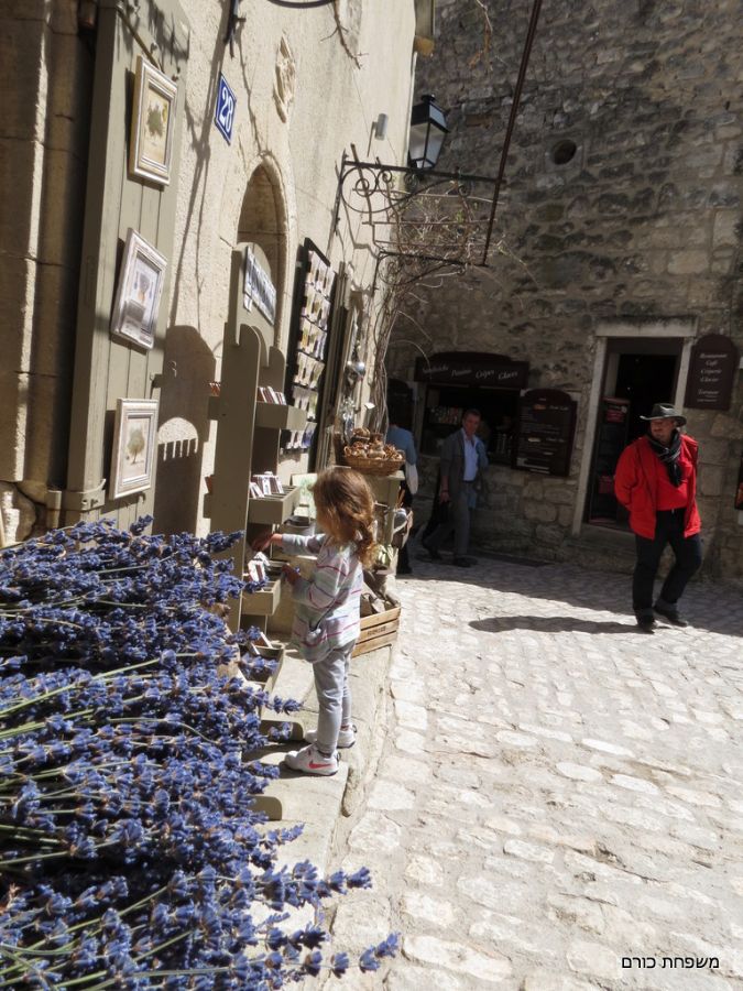 פרחי לבנדר ברחובות דה בו