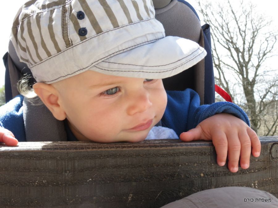 עופרי גם רוצה