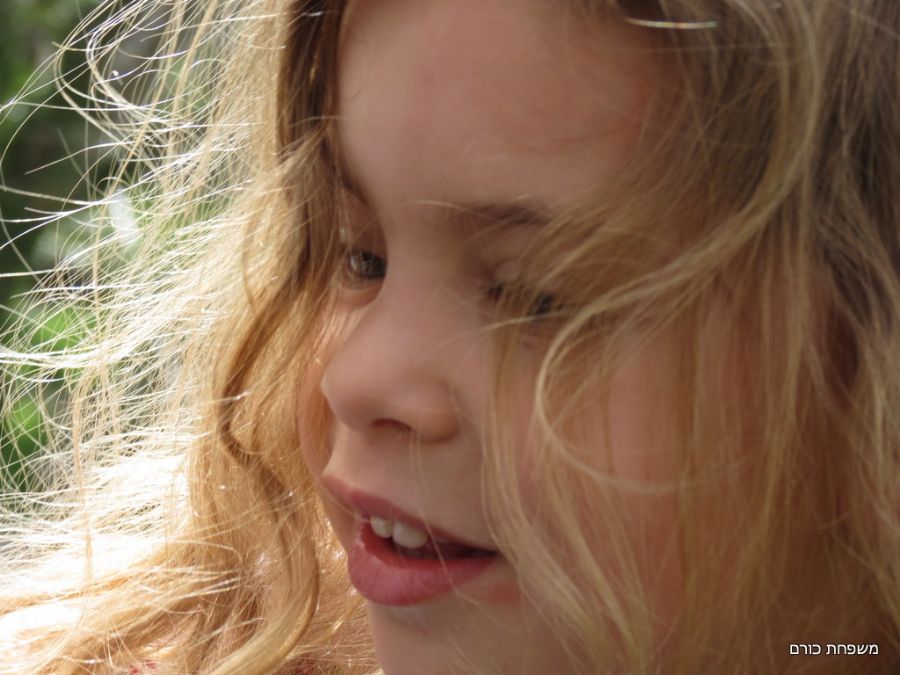 הפסקה משפחתית