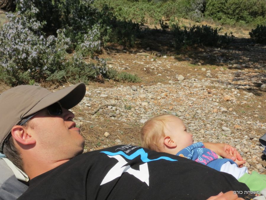 מתחרדנים בשמש