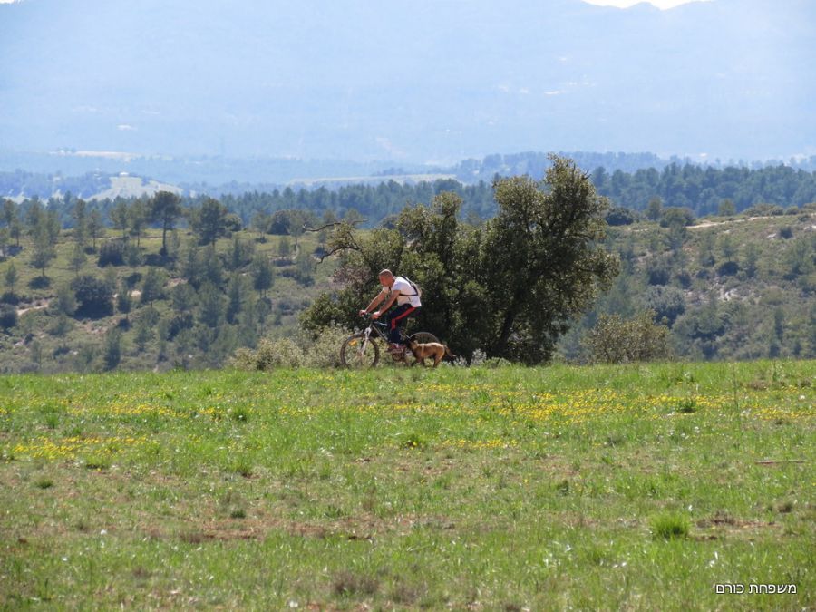 מרחבים מדהימים