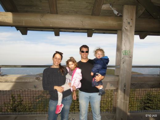 דרום היער השחור