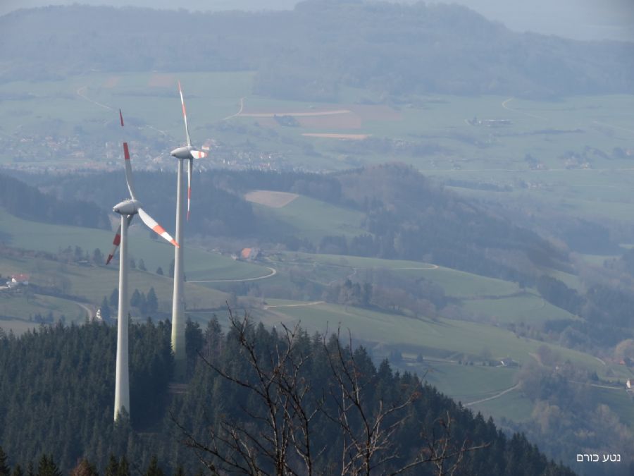 שבשבות בדרך לפסגה