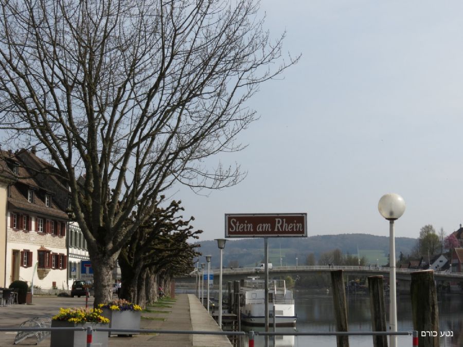 שטיין אם ריין