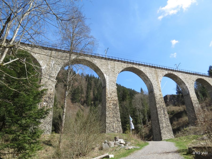 בדרך לערוץ רוונה