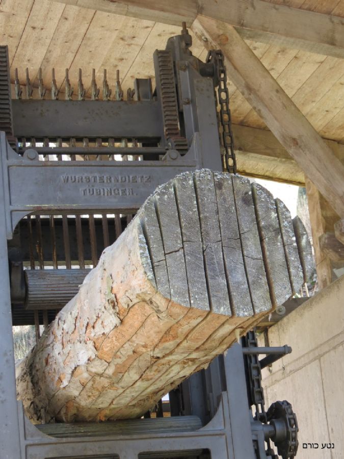 מנסרה עתיקה