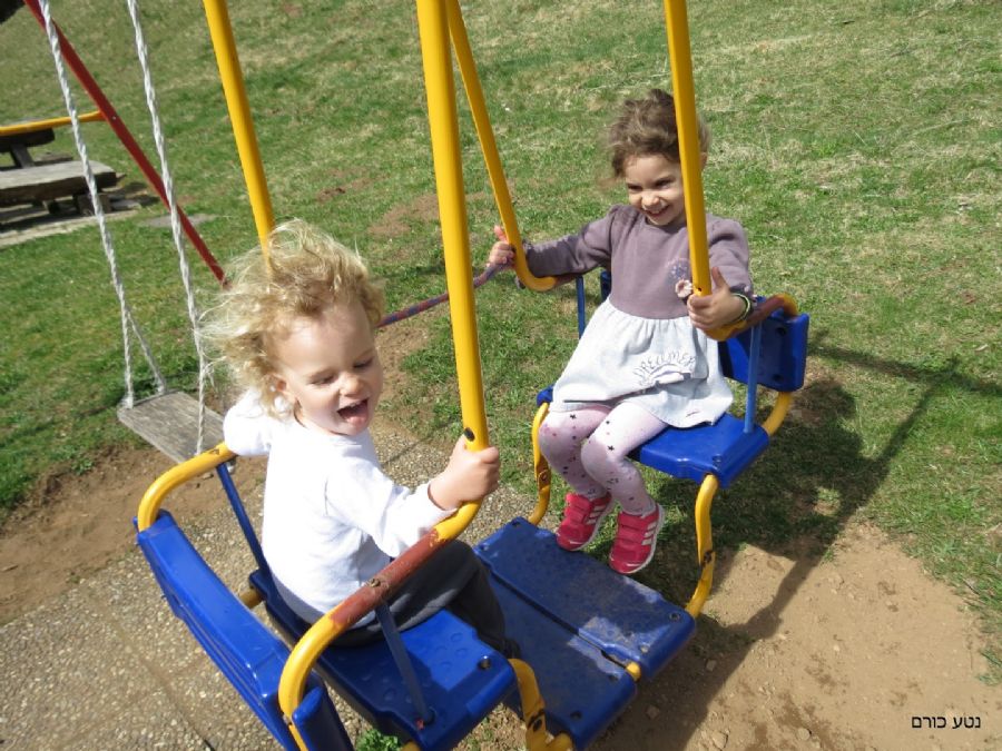 נדנדה כפולה בהפסקת הצהרים