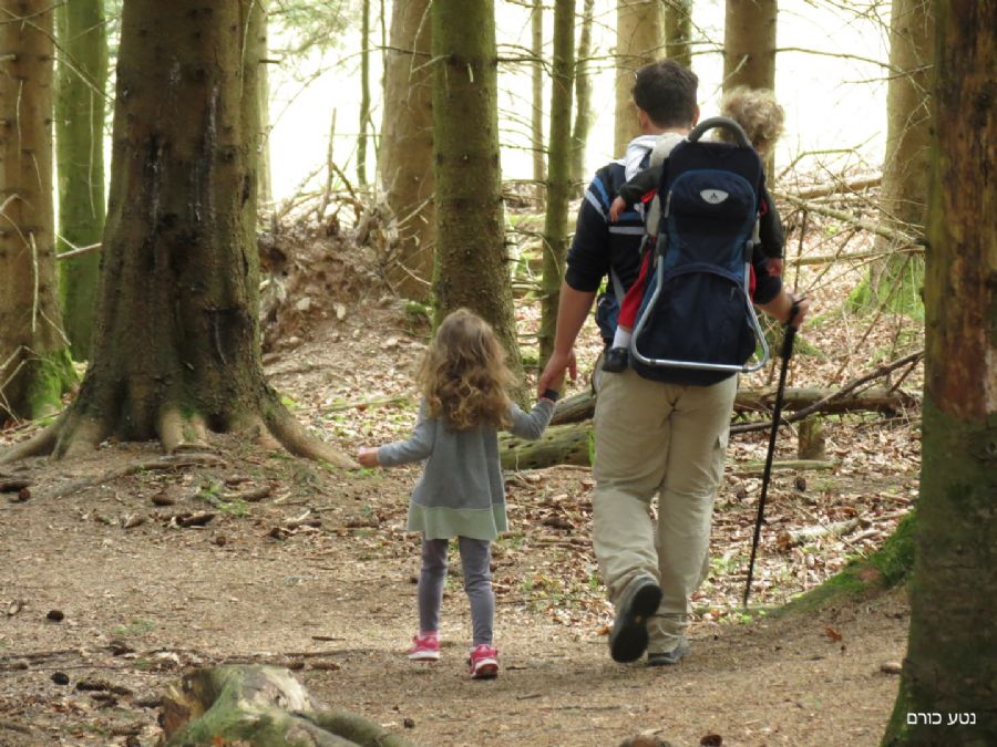 בשביל חתול הבר