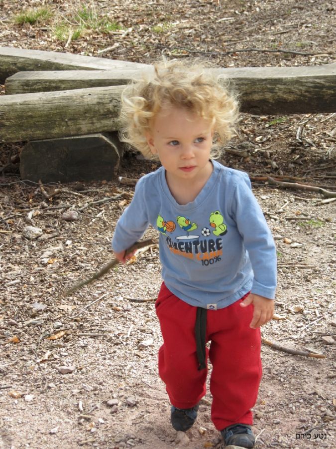 בשביל חתול הבר