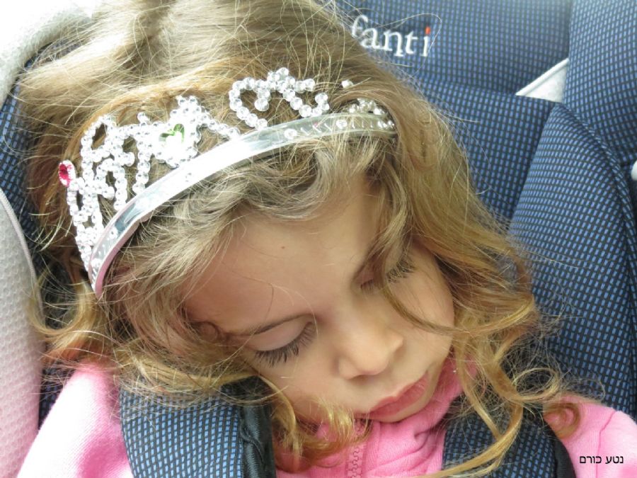 הנסיכה שנרדמה