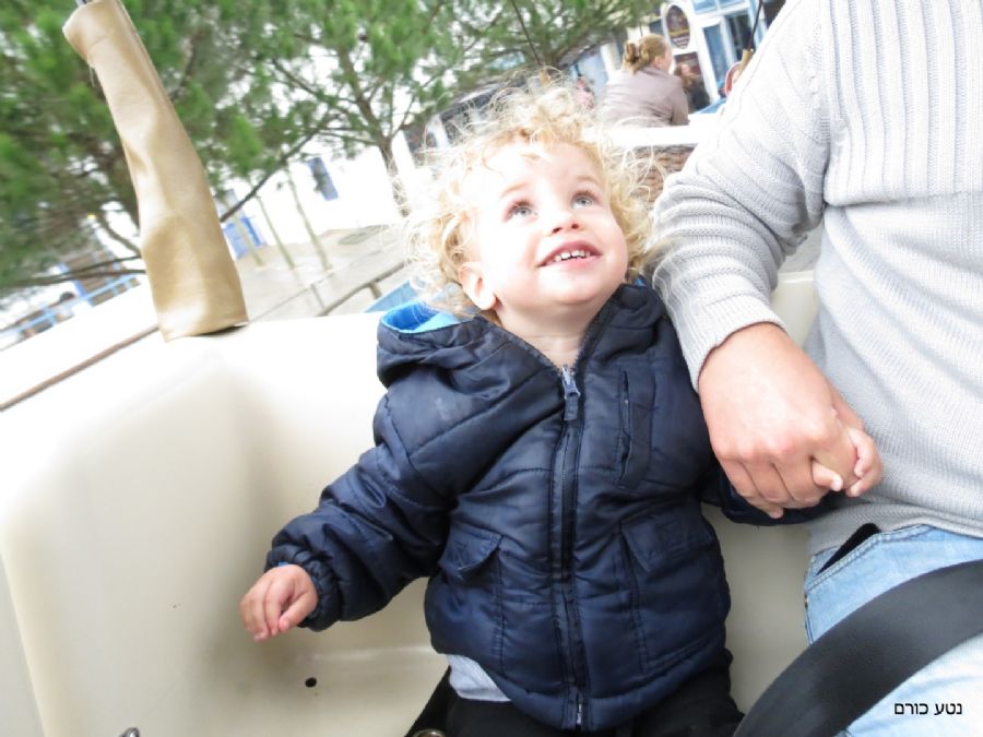 עופרי בכדורים פורחים