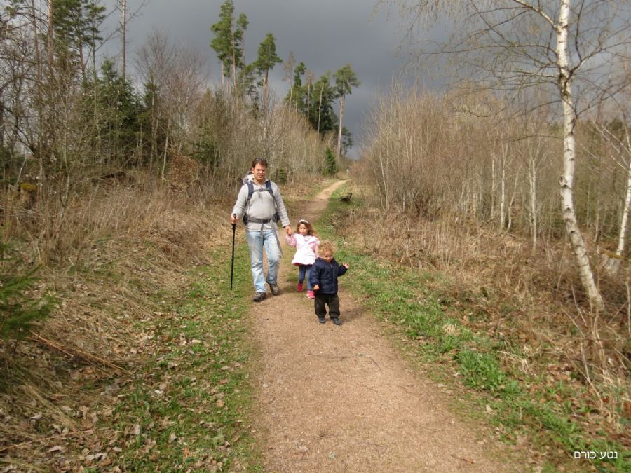 שביל הפסלים בגרפנהאוזן 
