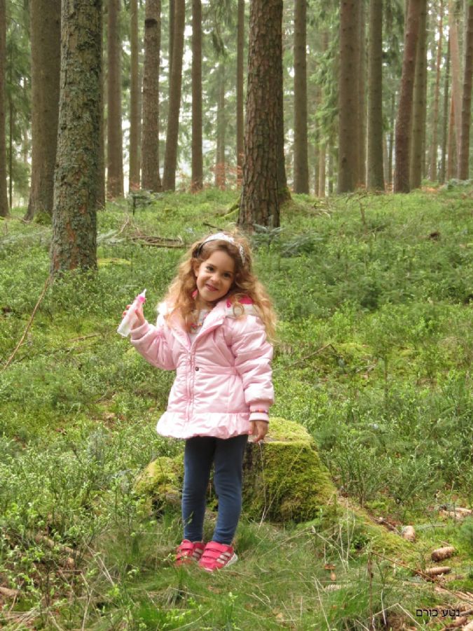 שביל הפסלים בגרפנהאוזן 