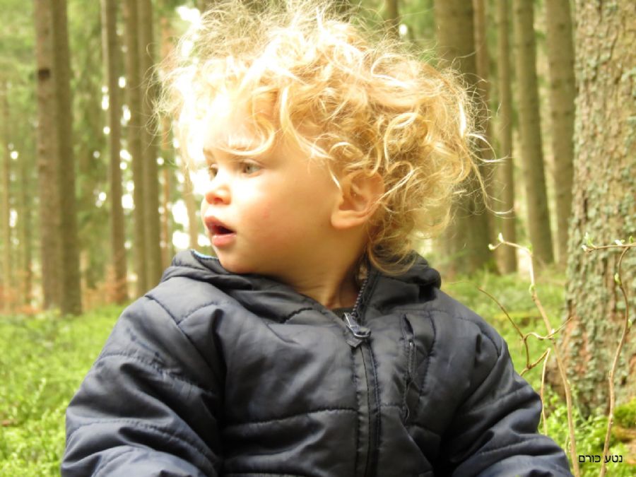 שביל הפסלים בגרפנהאוזן 