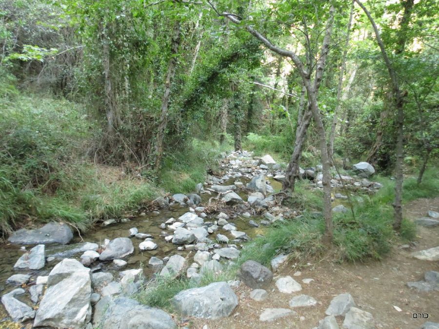 טיול למפלי קלידוניה