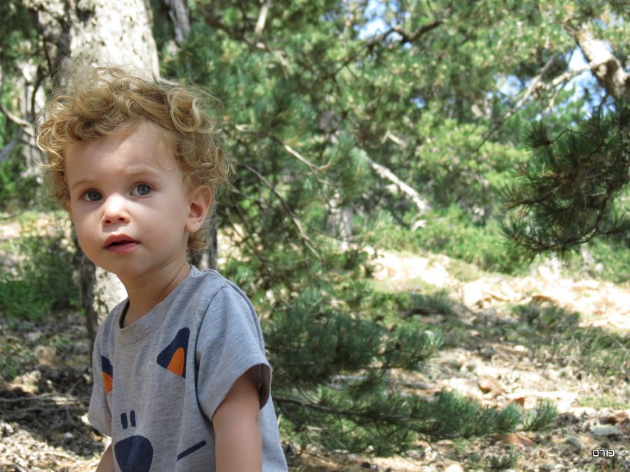 בטיול סביב האולימפוס