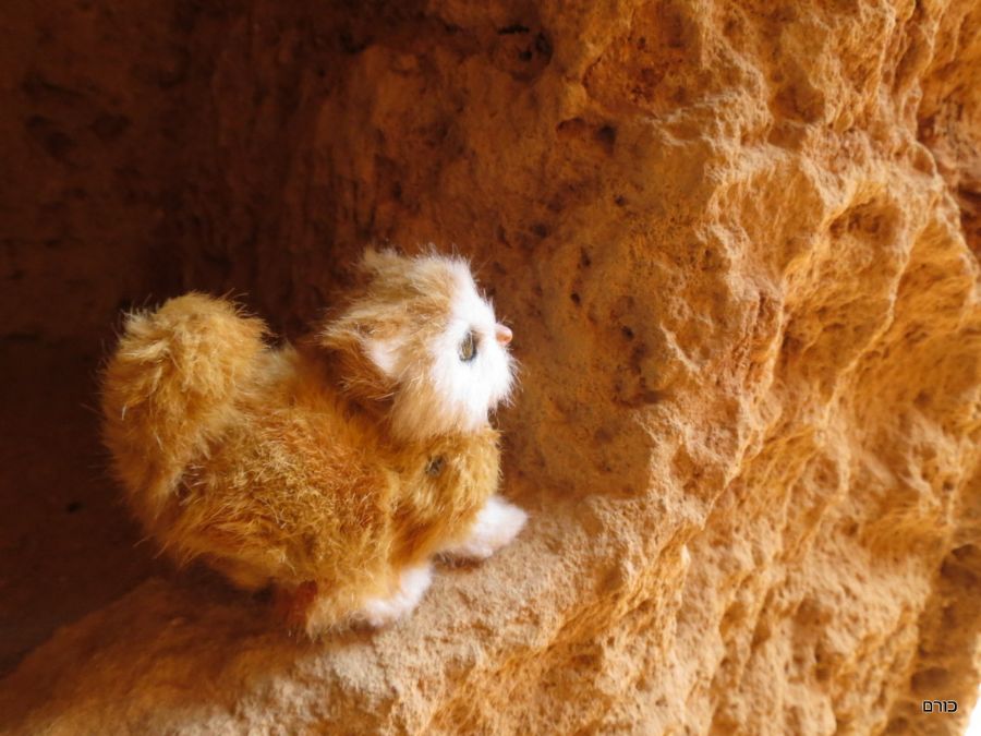 תולי מבקרת בקברי המלאכים בפאפוס