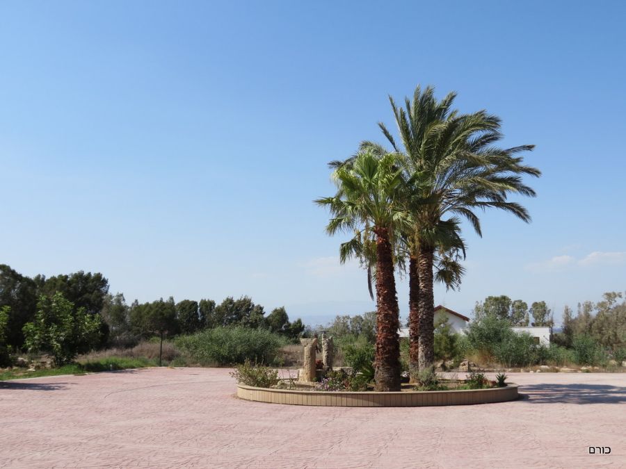 Holy Monastery of St Nicholas of the Cats