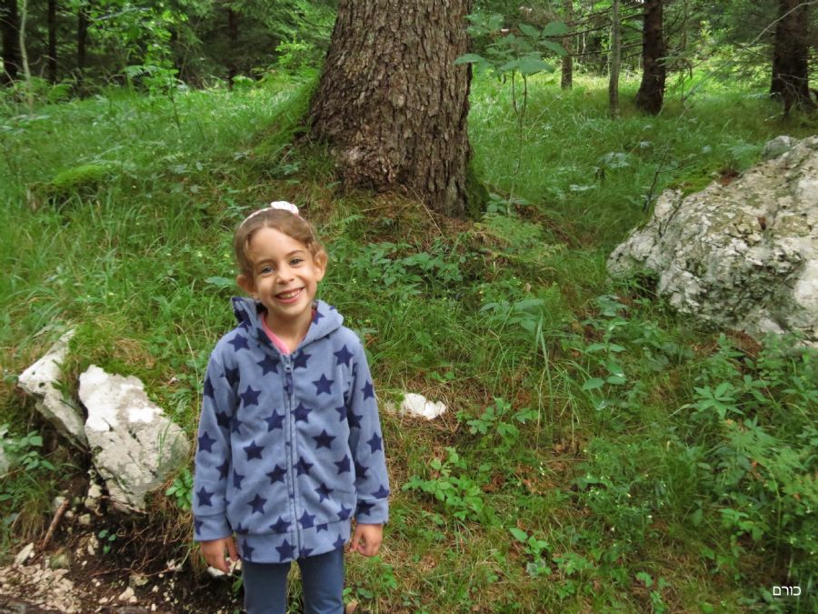 שביל הסוצ'ה