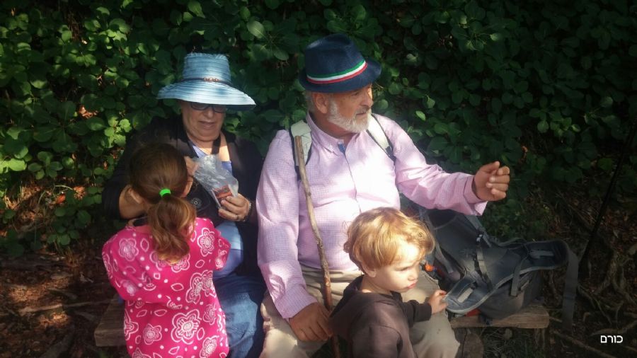 שמורת פליטוויצה