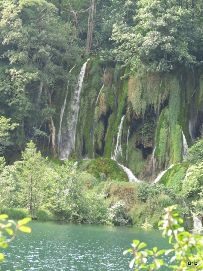 שמורת פליטוויצה