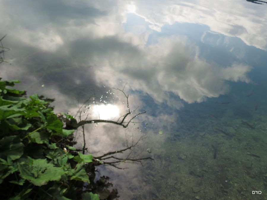 שמורת פליטוויצה