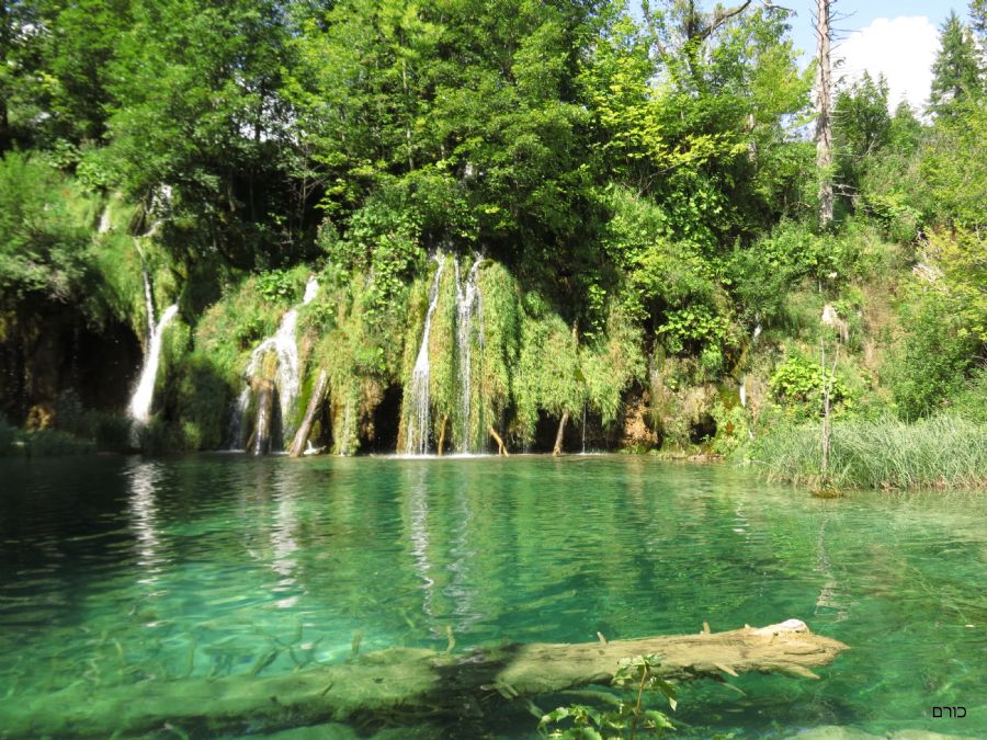 שמורת פליטוויצה