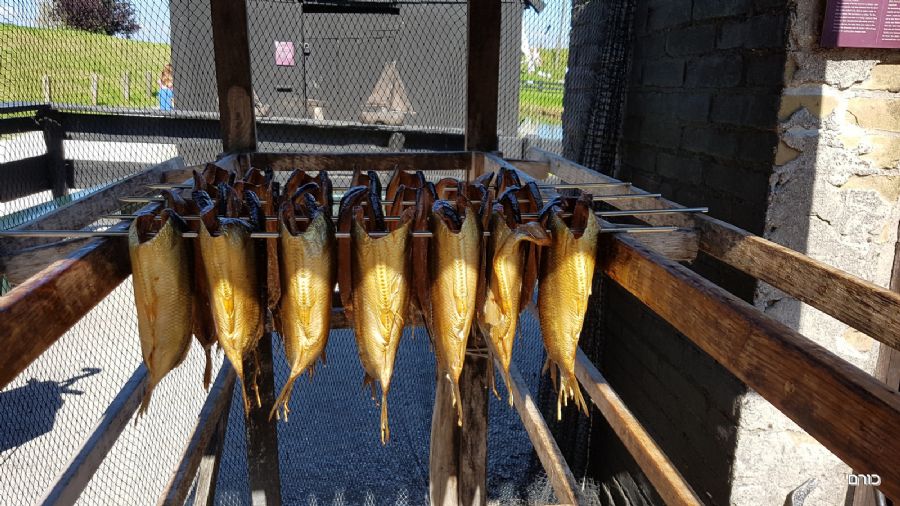 הרינג במוזיאון הפתוח באיינקהאוזן