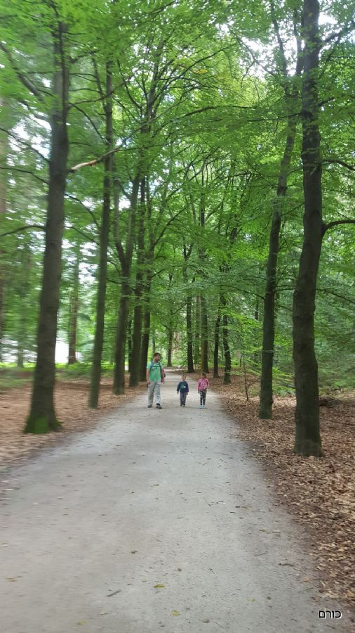 מוזיאון קרולר מולר