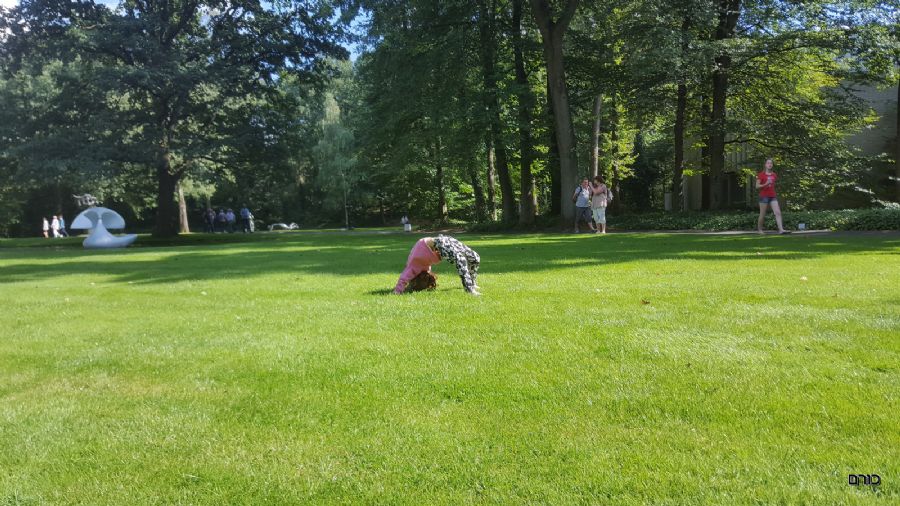 על הדשא בקרולר מולר