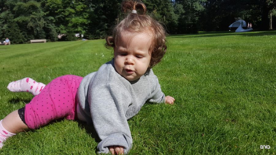 על הדשא בקרולר מולר