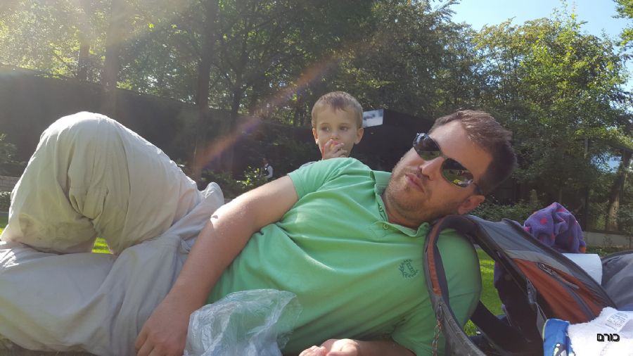 על הדשא בקרולר מולר