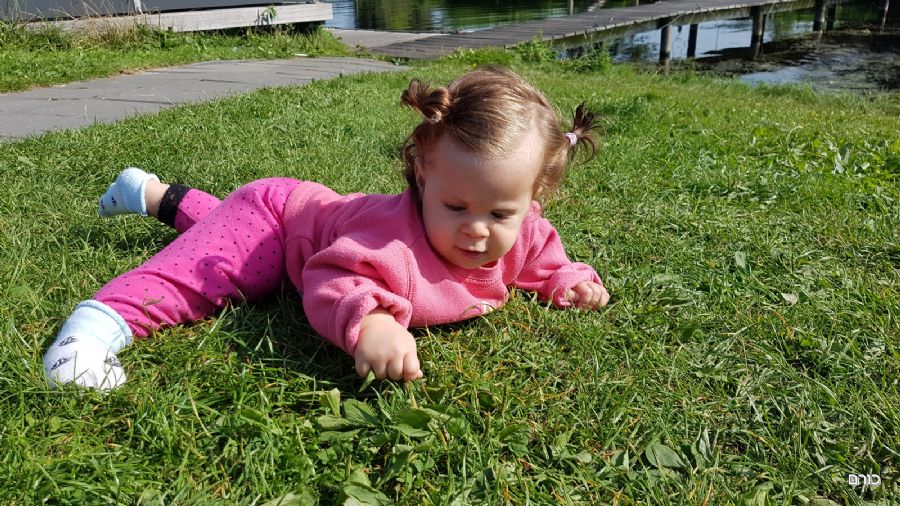 אגם וליטלנד