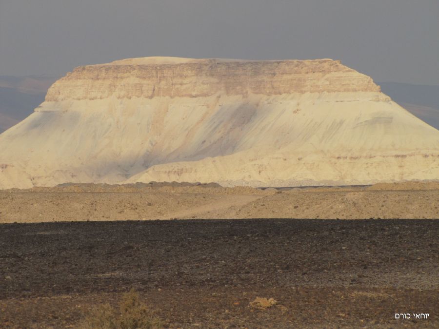 הר צין (הר ההר)