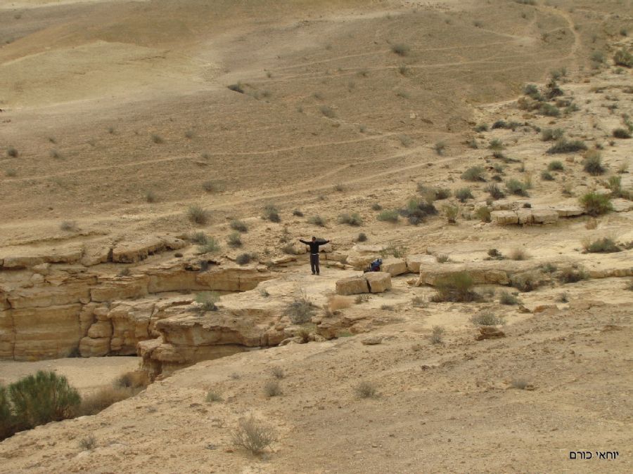 מקום מצויין להפסקת צהרים