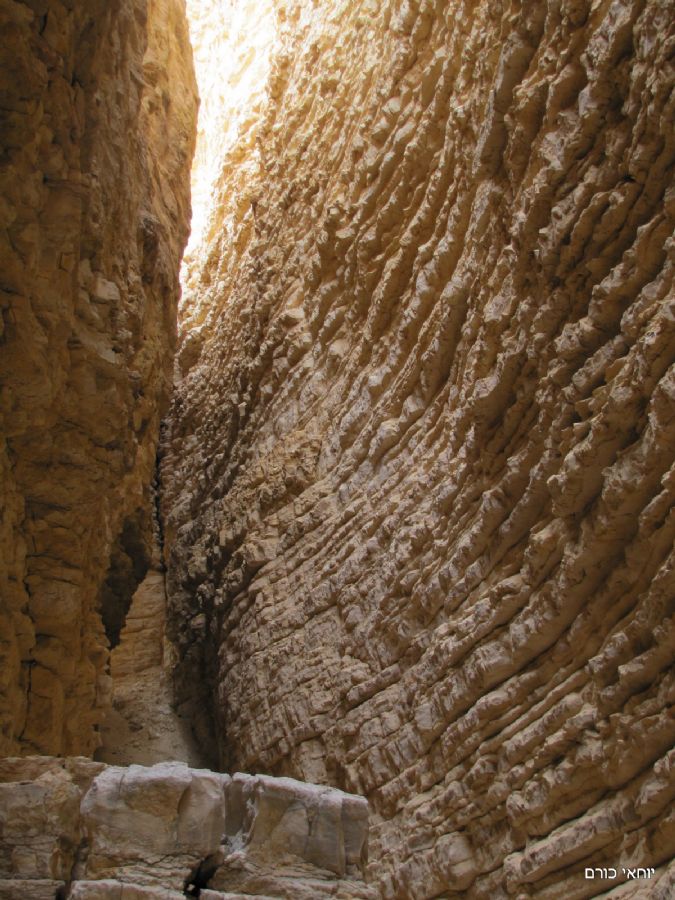 עוד ועוד שכבות: